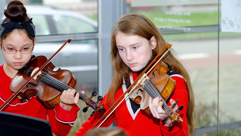 Triade4Strings strijkensemble